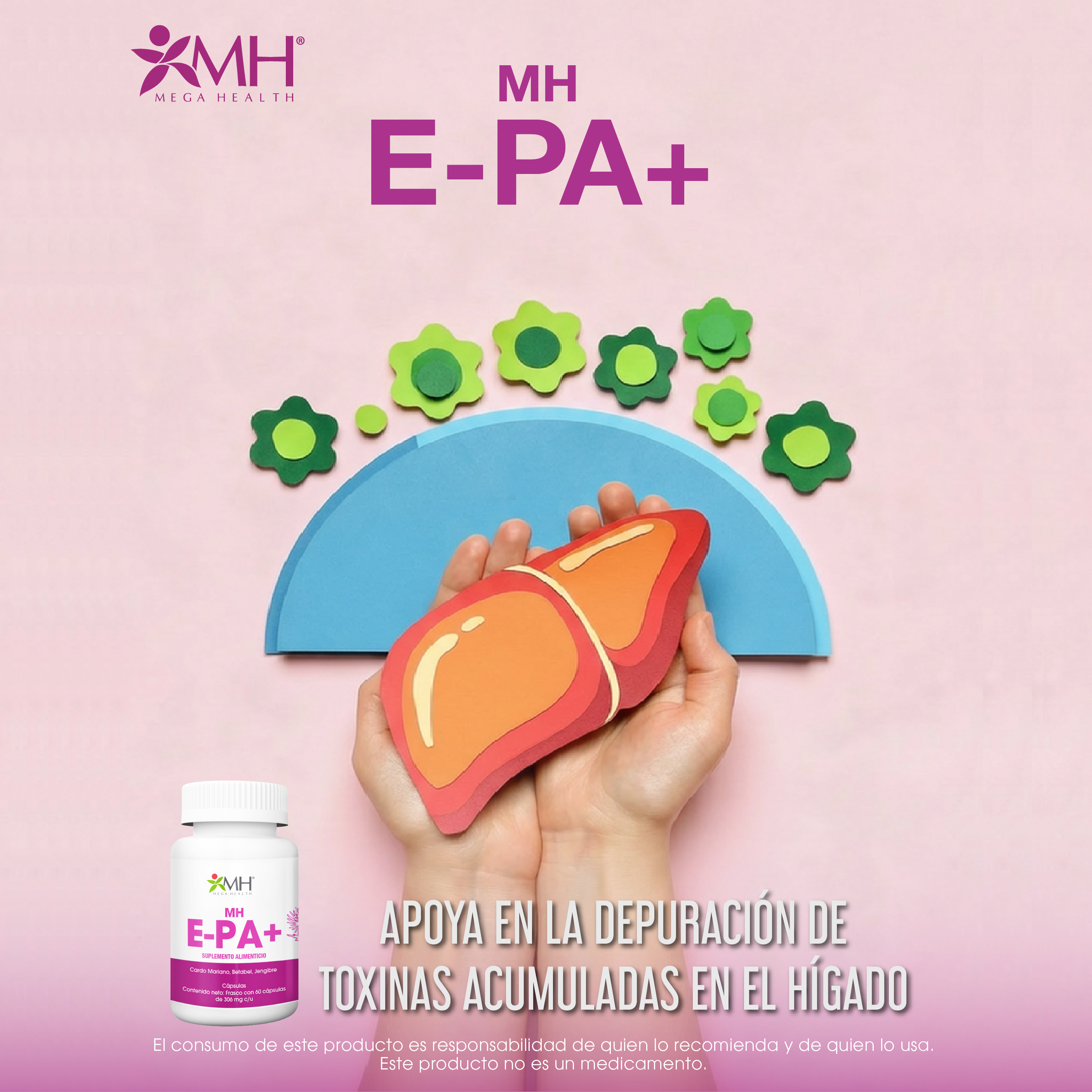 MH HEPA: CARDO MARIANO