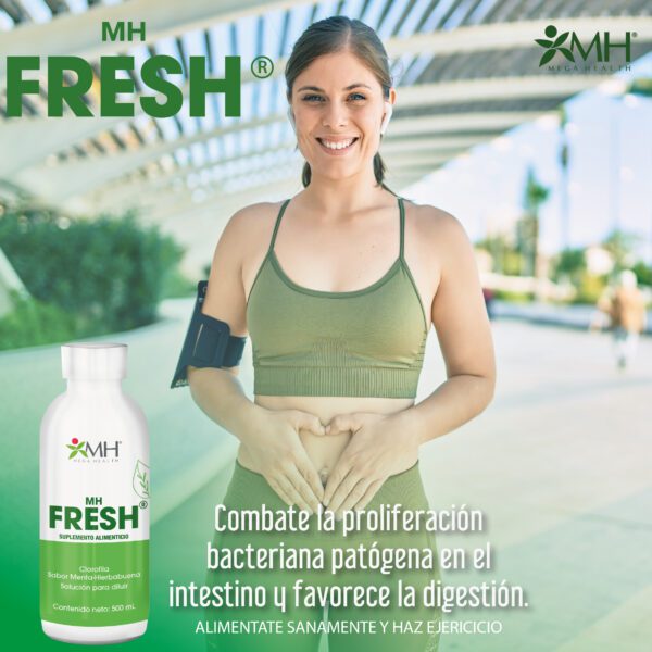 MH FRESH: CLOROFILA