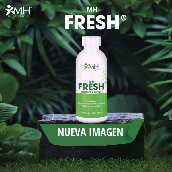 MH FRESH: CLOROFILA