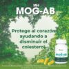 MH MOG-AB